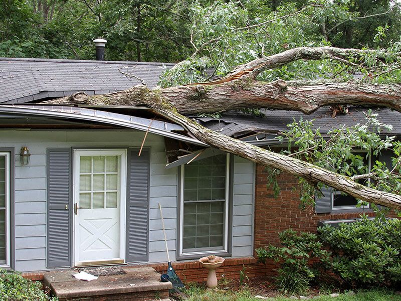 How to Spot and Repair Storm Damage on Your Roof?